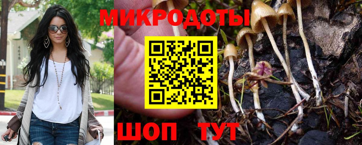 Псилоцибиновые грибы Cubensis Нововоронеж